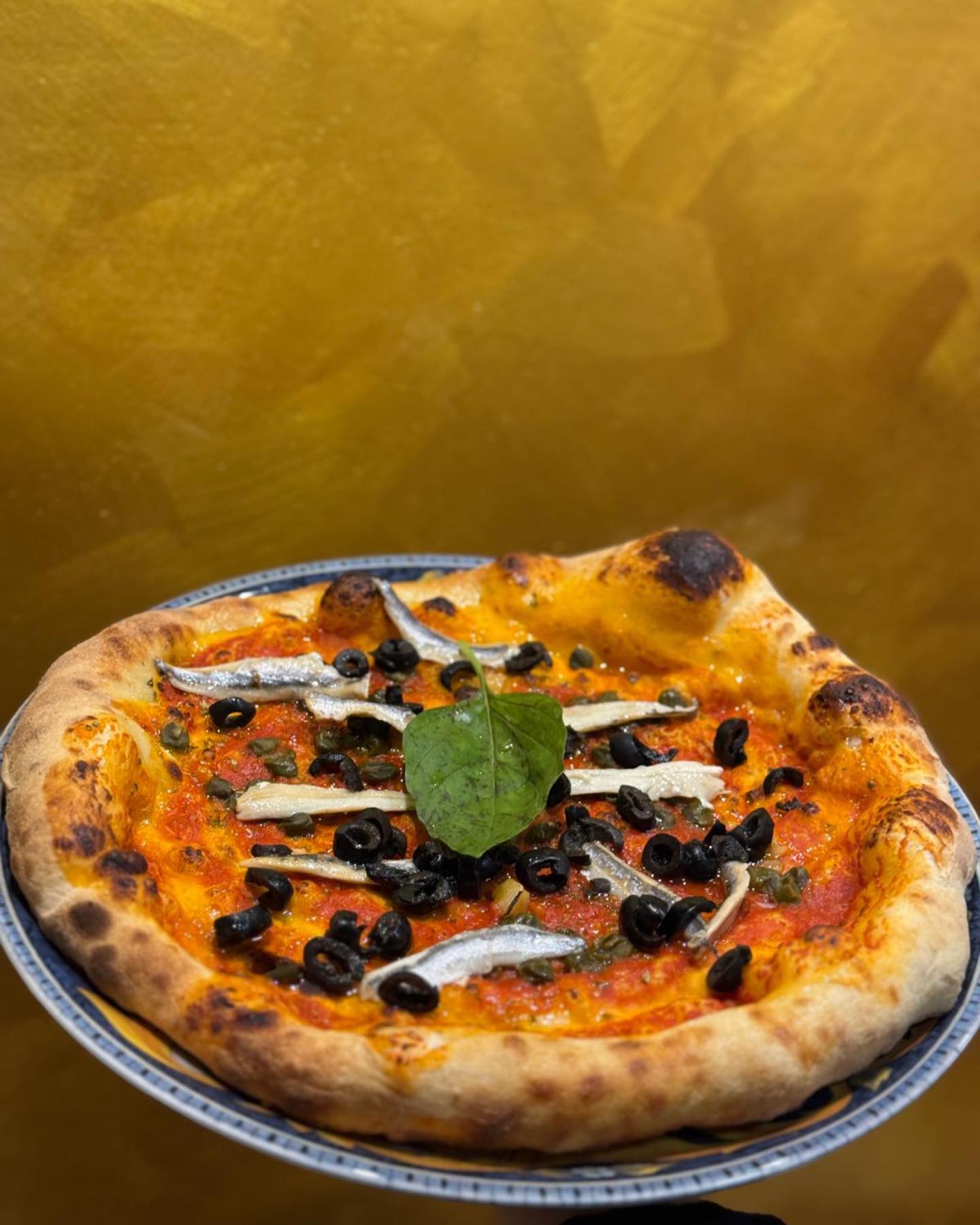 Klassische Pizza Marinara mit Sardellen, Oliven und Kapern